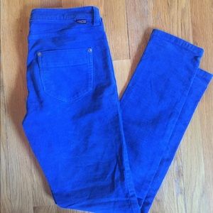 Cobalt blue Patagonia cords